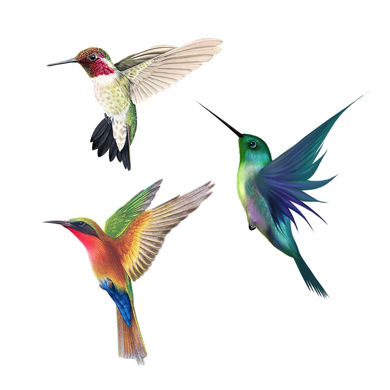 Outdoor Furniture Near Me - Schöne Kolibri handgemalte Vogel Aufkleber für